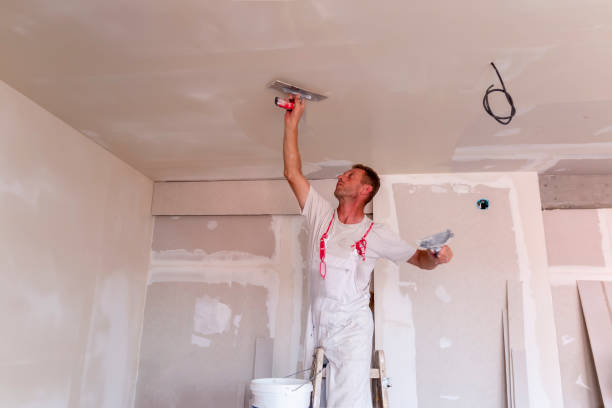 Best Trim and Molding Painting  in USA